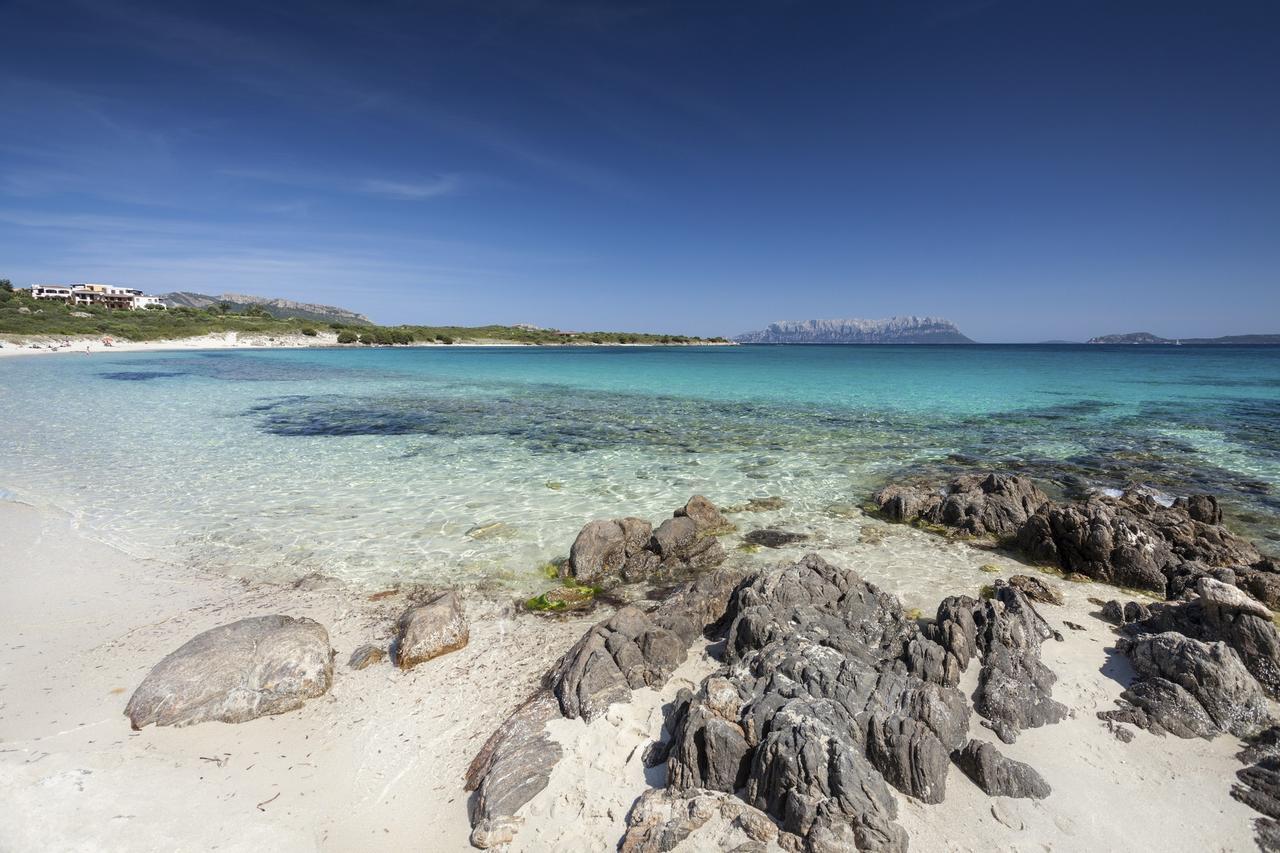 Giglio Apartment Vista Mare E Parcheggio Privato Porto Rotondo Dış mekan fotoğraf